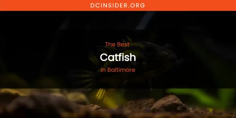 The Absolute Best Catfish in Baltimore