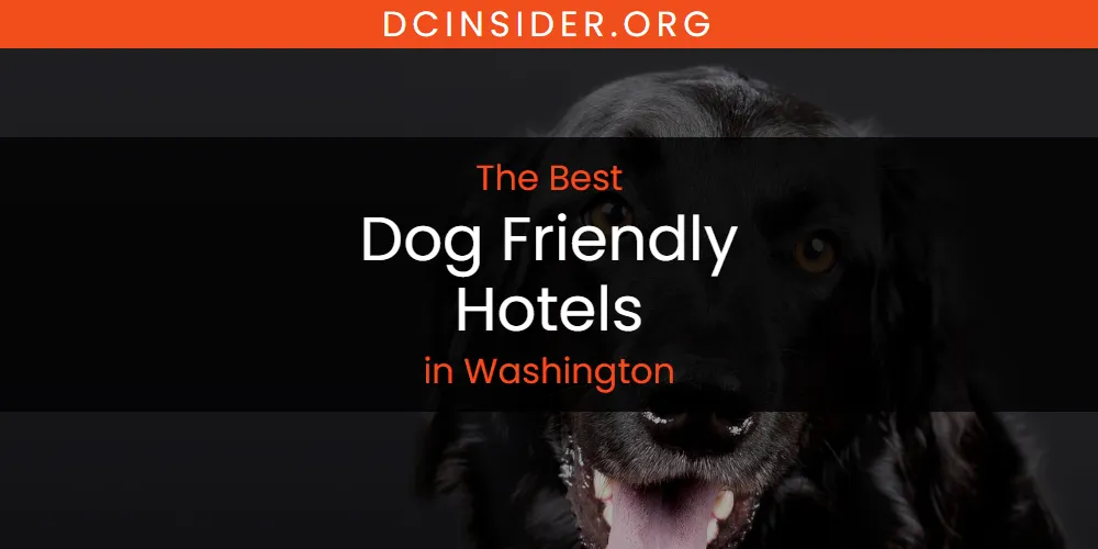 Washington's Best Dog Friendly Hotels [Updated 2025]