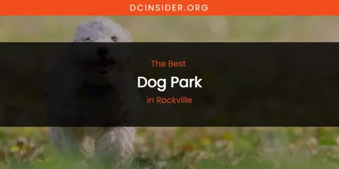 Rockville's Best Dog Park