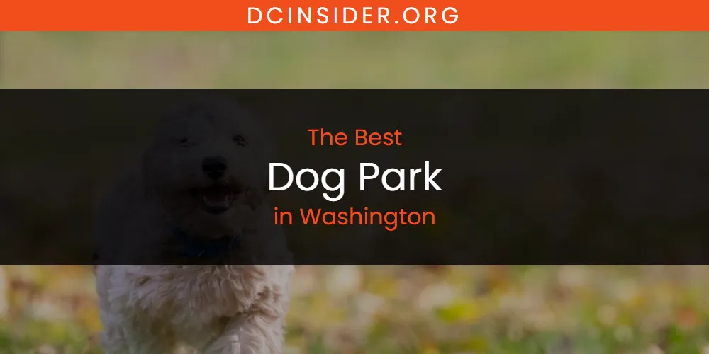 Washington's Best Dog Park [Updated 2025]