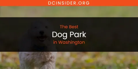 Washington's Best Dog Park
