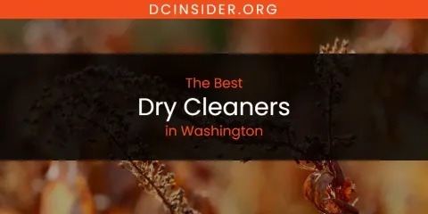 Best Dry Cleaners in Washington: Our Expert Picks