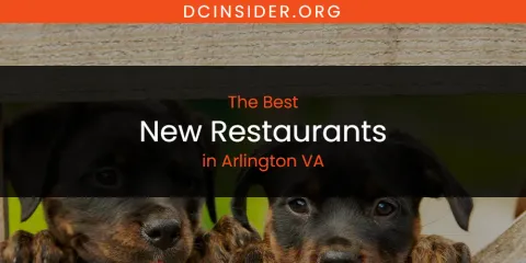 Guide to Best New Restaurants in Arlington VA