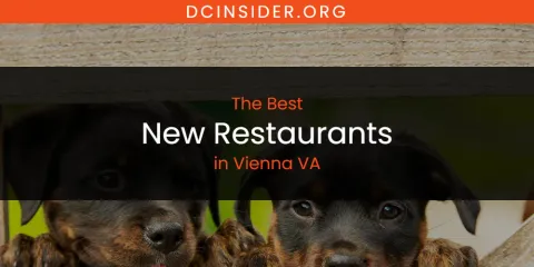 Vienna VA's Best New Restaurants