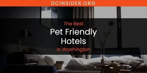 Guide to Best Pet Friendly Hotels in Washington