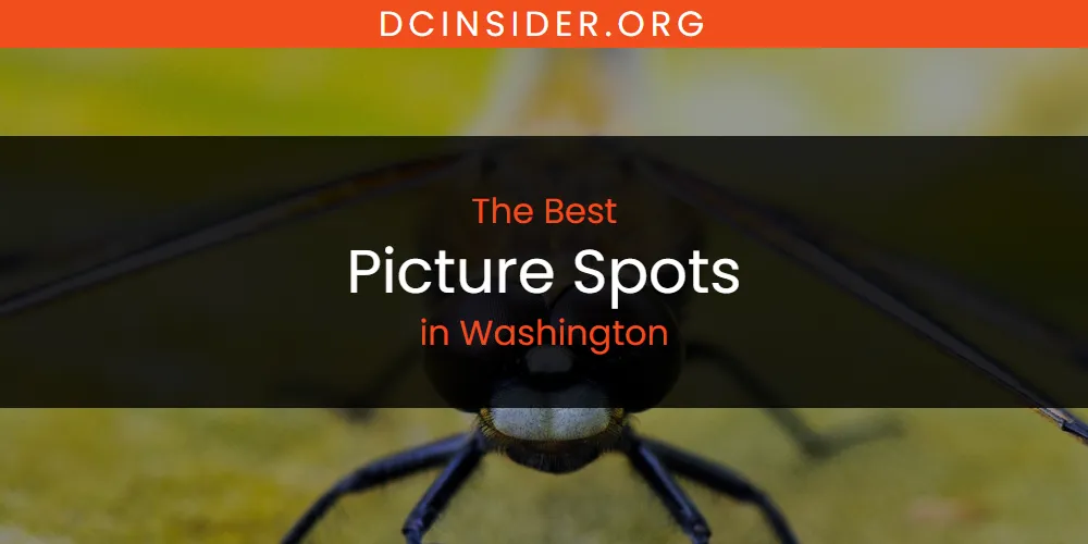 Washington's Best Picture Spots [Updated 2025]
