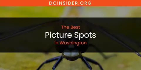 Washington's Best Picture Spots