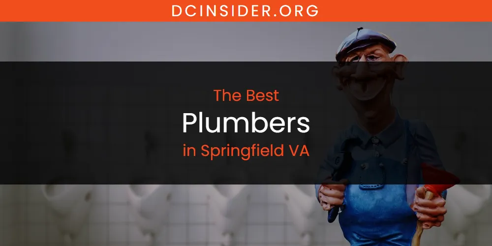 Springfield VA's Best Plumbers [Updated 2025]