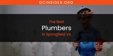 Springfield VA's Best Plumbers