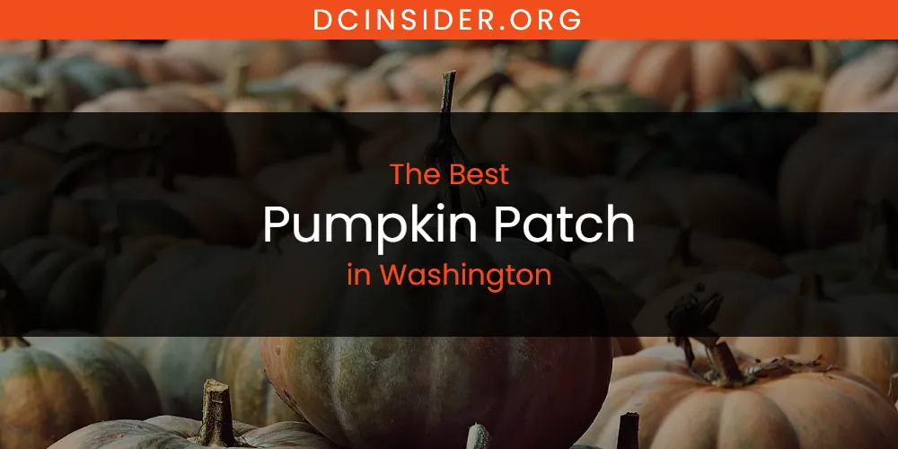Washington's Best Pumpkin Patch [Updated 2025]