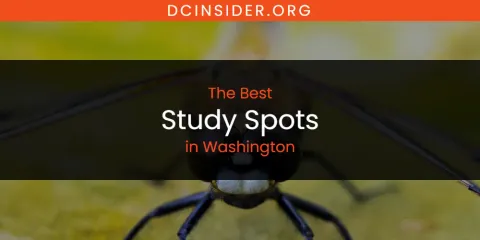 Washington's Best Study Spots