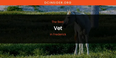 The Absolute Best Vet in Frederick