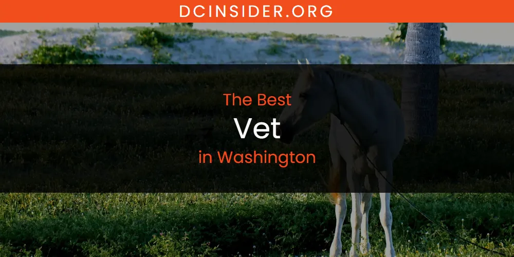Washington's Best Vet [Updated 2025]